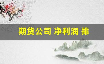 期货公司净利润排名